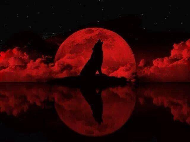 Black Wolf Red Moon Logo - wolves. Moon, Blood moon, Wolf