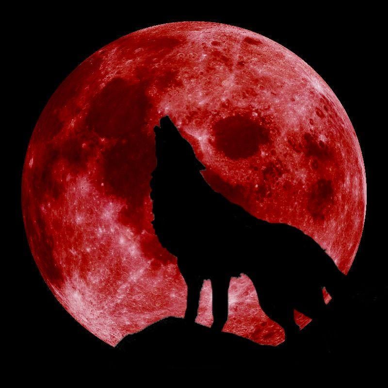 Black Wolf Red Moon Logo - Blood Moon! Libra Full Moon Lunar Eclipse