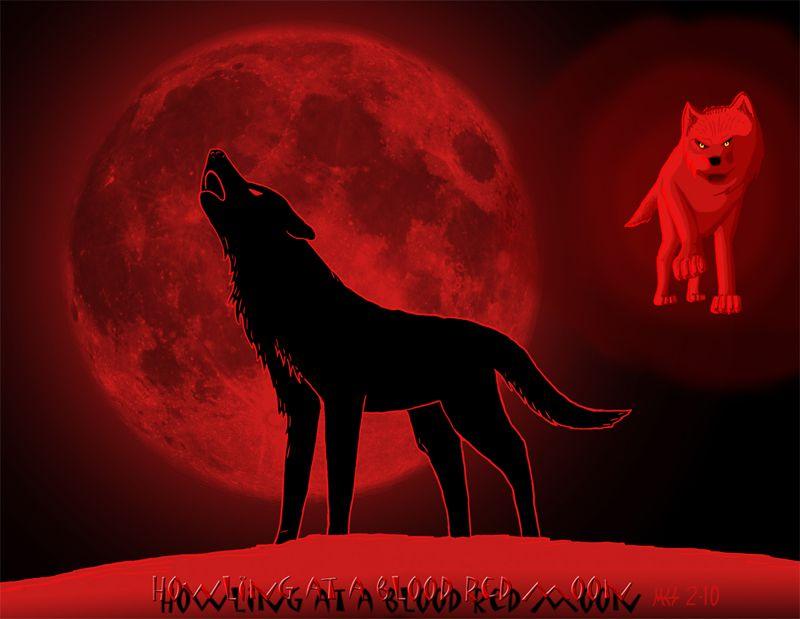 Black Wolf Red Moon Logo - Picture of Black Wolf Howling At The Red Moon