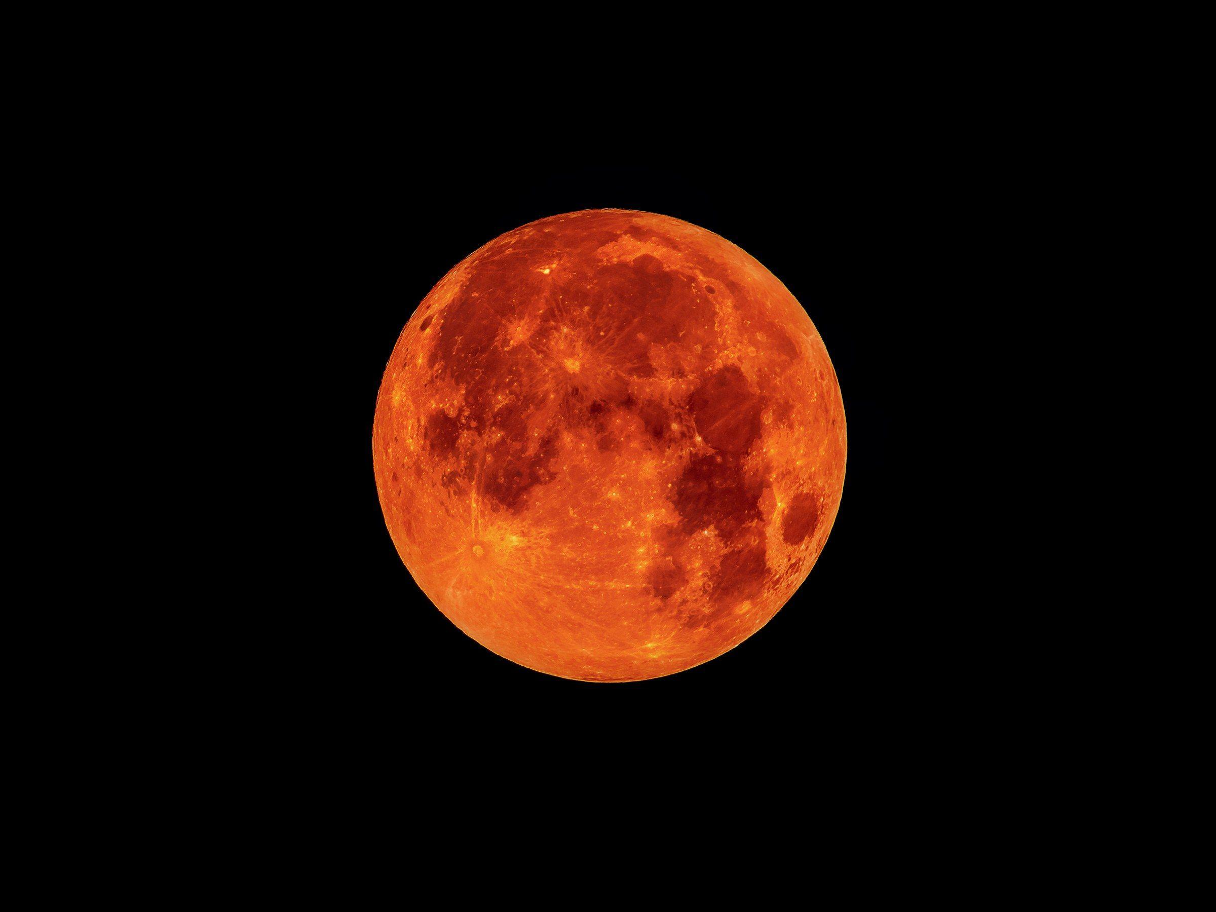 Black Wolf Red Moon Logo - Watching the Super Blood Wolf Moon? What to Know About This Lunar ...
