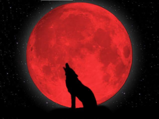 Black Wolf Red Moon Logo - red moon wolf #redbook #TrueBlood. Wolves and indians. Wolf, Red