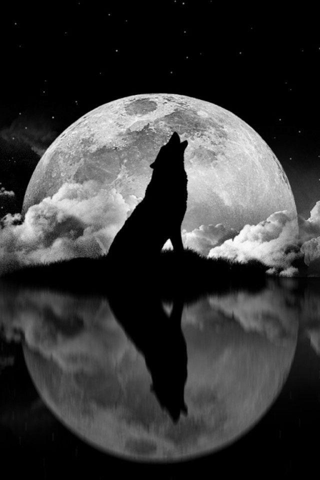 Black Wolf Red Moon Logo - Wolf Howling at the Moon. Sun & Moon & Stars. Wolf tattoos, Wolf