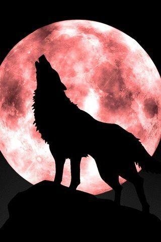 Black Wolf Red Moon Logo - My Wolfs | Tatts | Pinterest