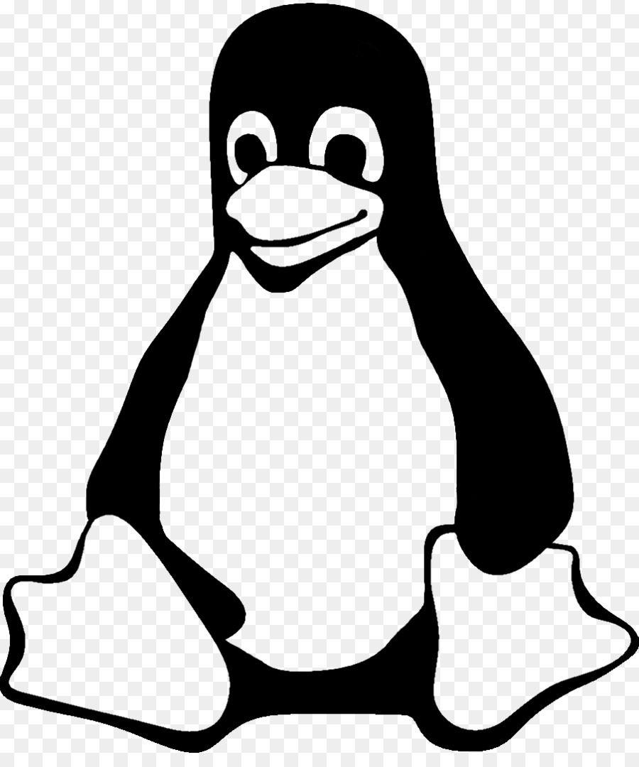 Linux Logo - Tux Linux Ubuntu Logo Computer Icons - linux png download - 904*1067 ...