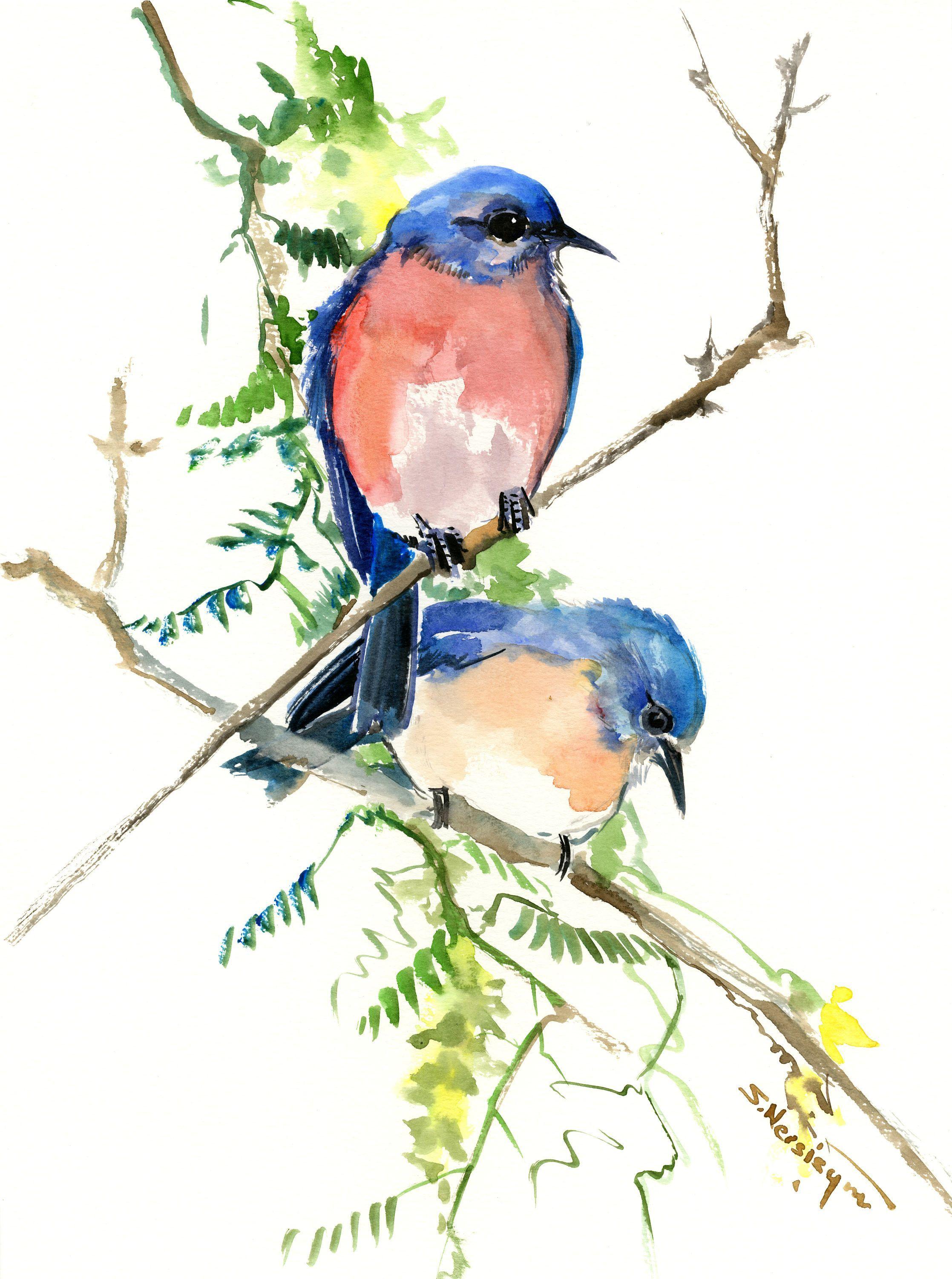 Two Blue Bird Logo - Bluebirds and Spring, artwork, original painting, watercolor