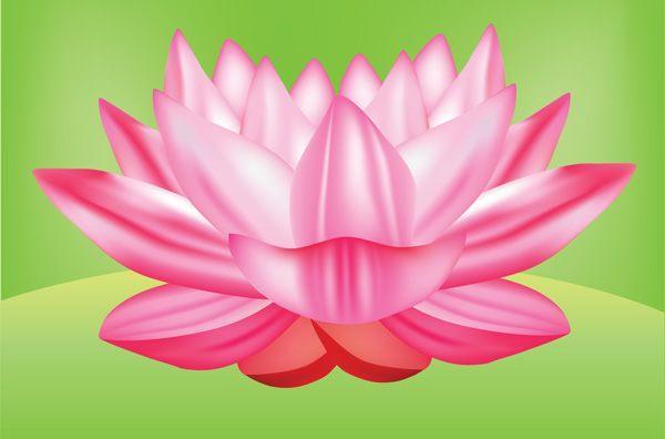 Lotus Flower Vector Art Logo - Lotus Logo Vector Free Download.com