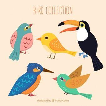 Cute Bird Logo - Bird Vectors, Photos and PSD files | Free Download