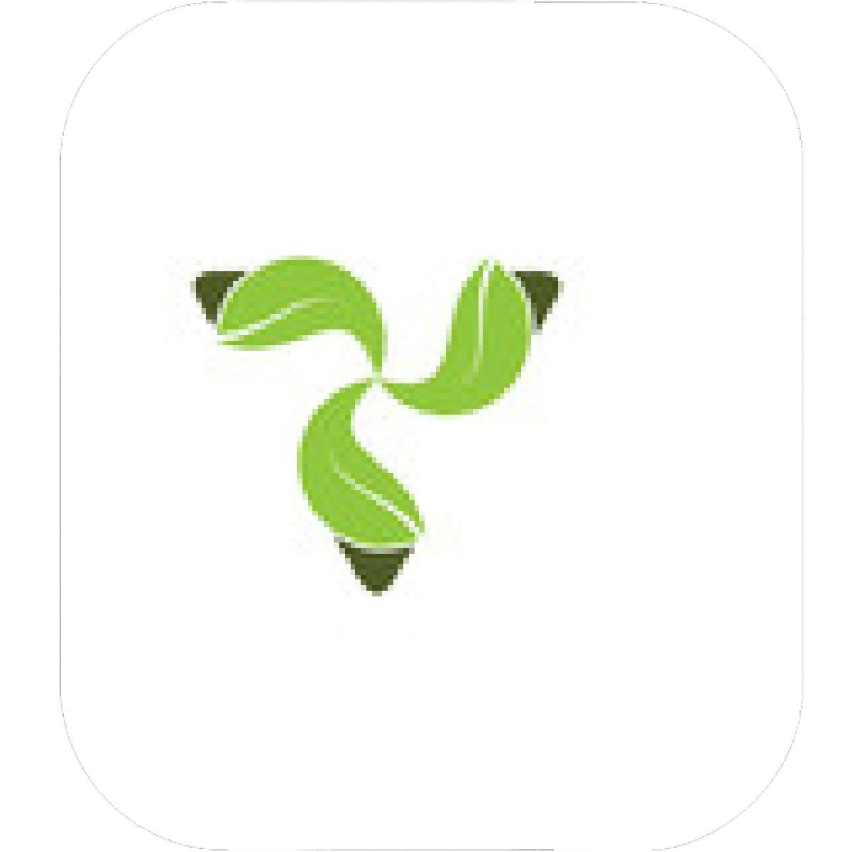 Triangle with Leaf Logo - Designs