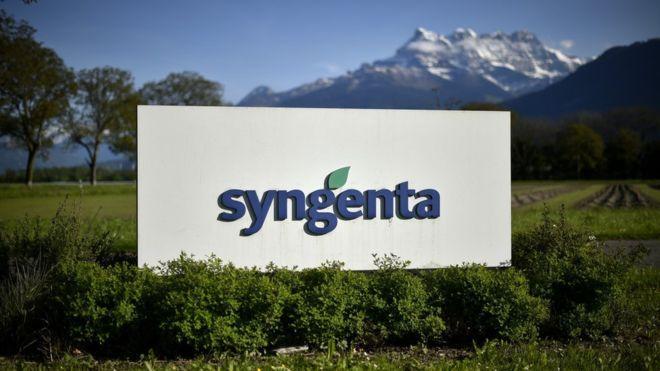 Syngenta Logo - Syngenta denies $43bn deal is a Chinese nationalisation - BBC News
