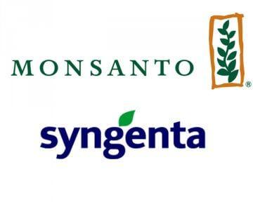 Syngenta Logo - Is cultural 'animosity' in way of Monsanto-Syngenta merger ...