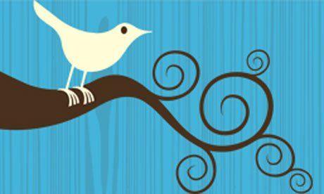 Original Twitter Logo - Simon Oxley Twitter Logo