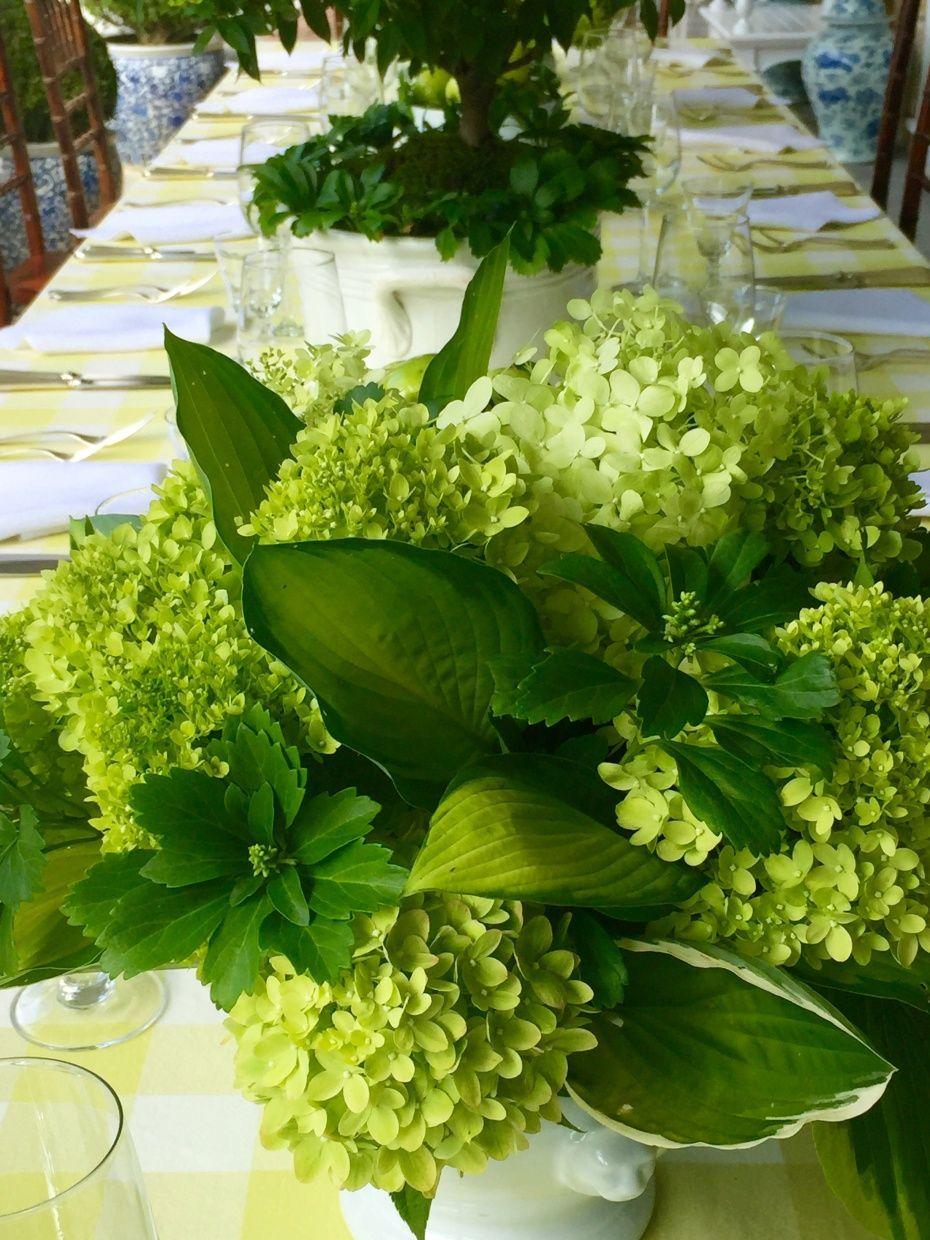 Blue and Yellow with Green Leaves That Are 3 Logo - I clipped 3 varieties of hosta leaves (yellow, white boarder, blue ...