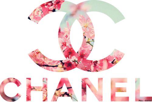 Pink Chanel Flower Logo - Image about pink in chanel by Bella on We Heart It