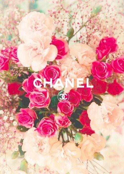 Pink Chanel Flower Logo - chanel, flowers, and pink image. Adan. Chanel wallpaper