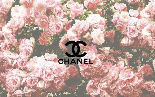 Pink Chanel Flower Logo - Background for iPhone discovered