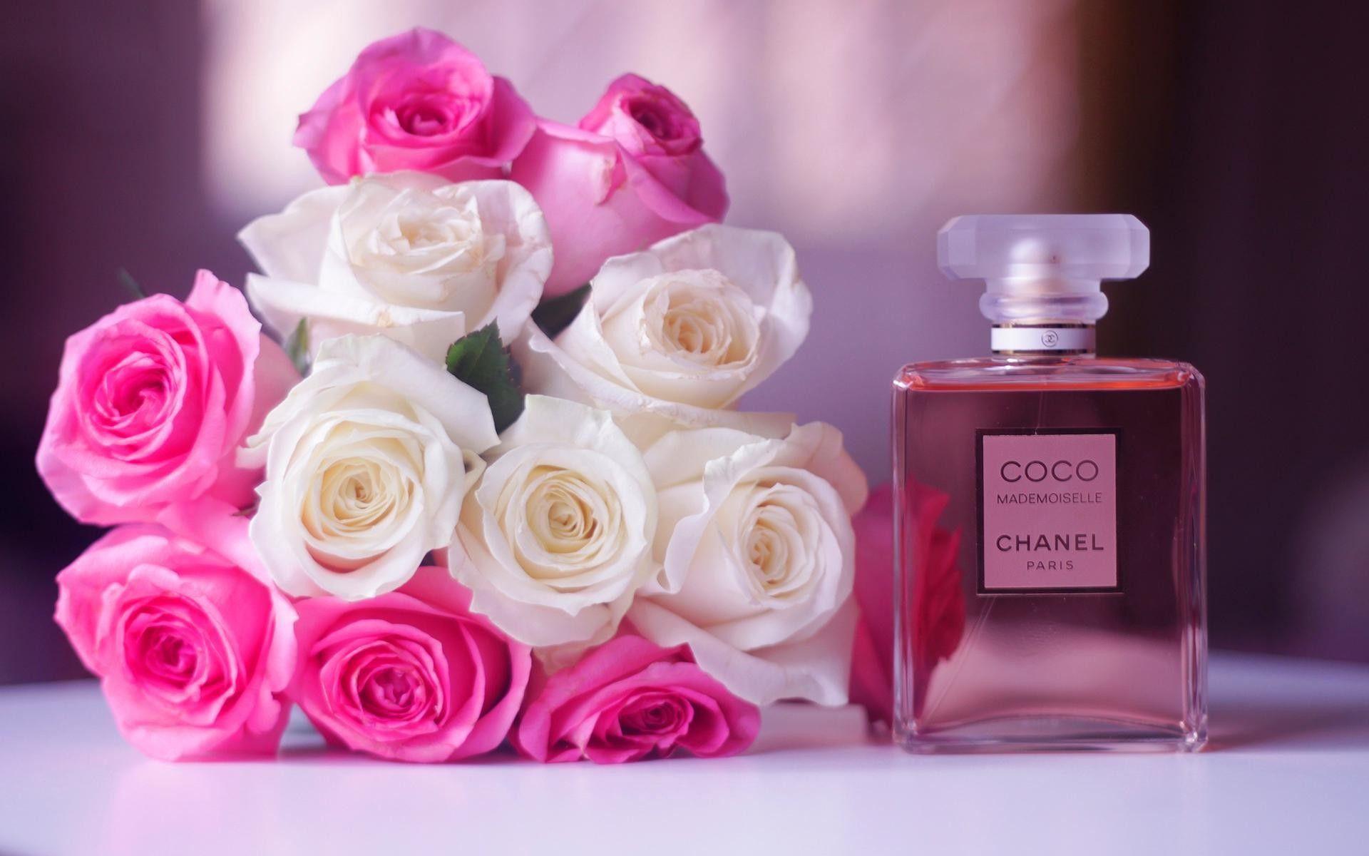 Pink Chanel Flower Logo - Pink Chanel Wallpaper