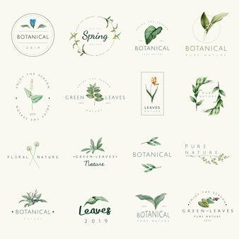 Flowered U Company Logo - Floral Logo Vectors, Photos and PSD files | Free Download