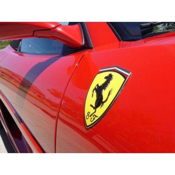 Wings and Shield Car Logo - Ferrari 360/F430 - Scuderia Fender Wing Shields (pair)