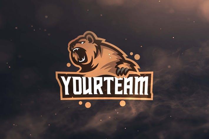 Bear Sports Logo - Download 639 Sports Logos - Envato Elements