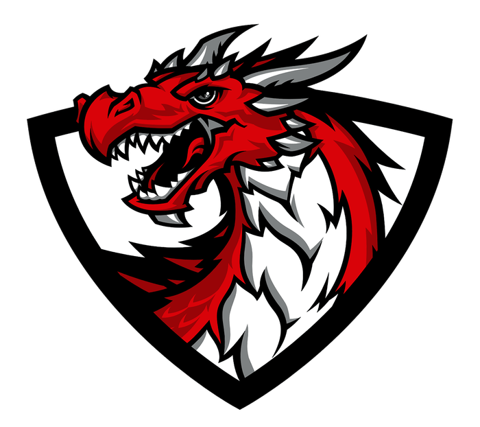 Dragon Logo - Pin by Chris Basten on Dragons Logos | Logos, Logo design, Sports logo