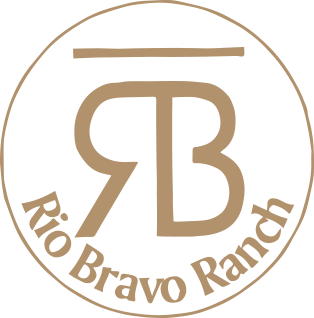 Circle R B Logo - Rb Logo Icon Bravo Ranch