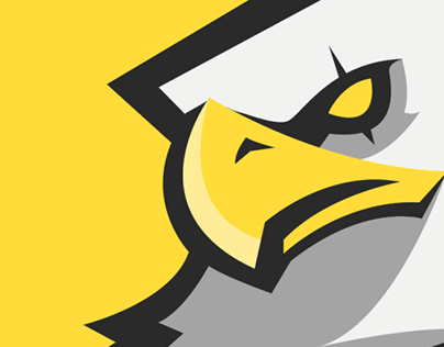 Eagle Gaming Logo - Angry Eagle Gaming (concept logo). squad. Logos, Sports logo, dan
