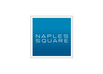 Square Website Logo - Naples Square – Logo Design – Wilson Creative Group