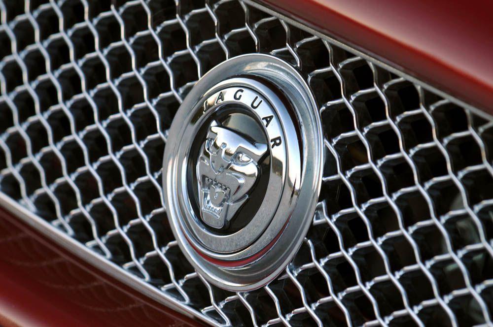 Lion Car Logo - Exotic Car Logos and Hood Ornaments