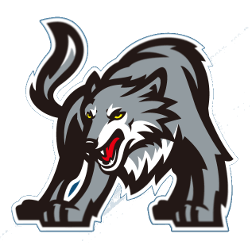 Timberwolves Logo - Minnesota Timberwolves Concept Logo | Sports Logo History