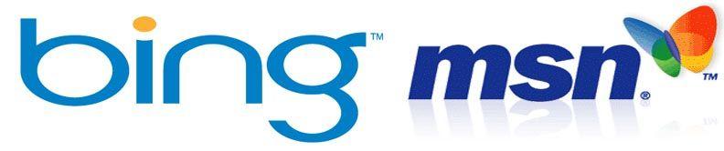 MSN Search Logo - Custom Logo Design Company Blog. Free Logo Design Help