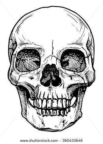 Skull Black and White Logo - Vector black and white illustration of human skull with a lower jaw