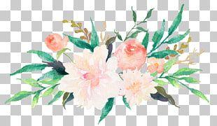 Painting Flower Logo - watercolor Logo PNG clipart for free download