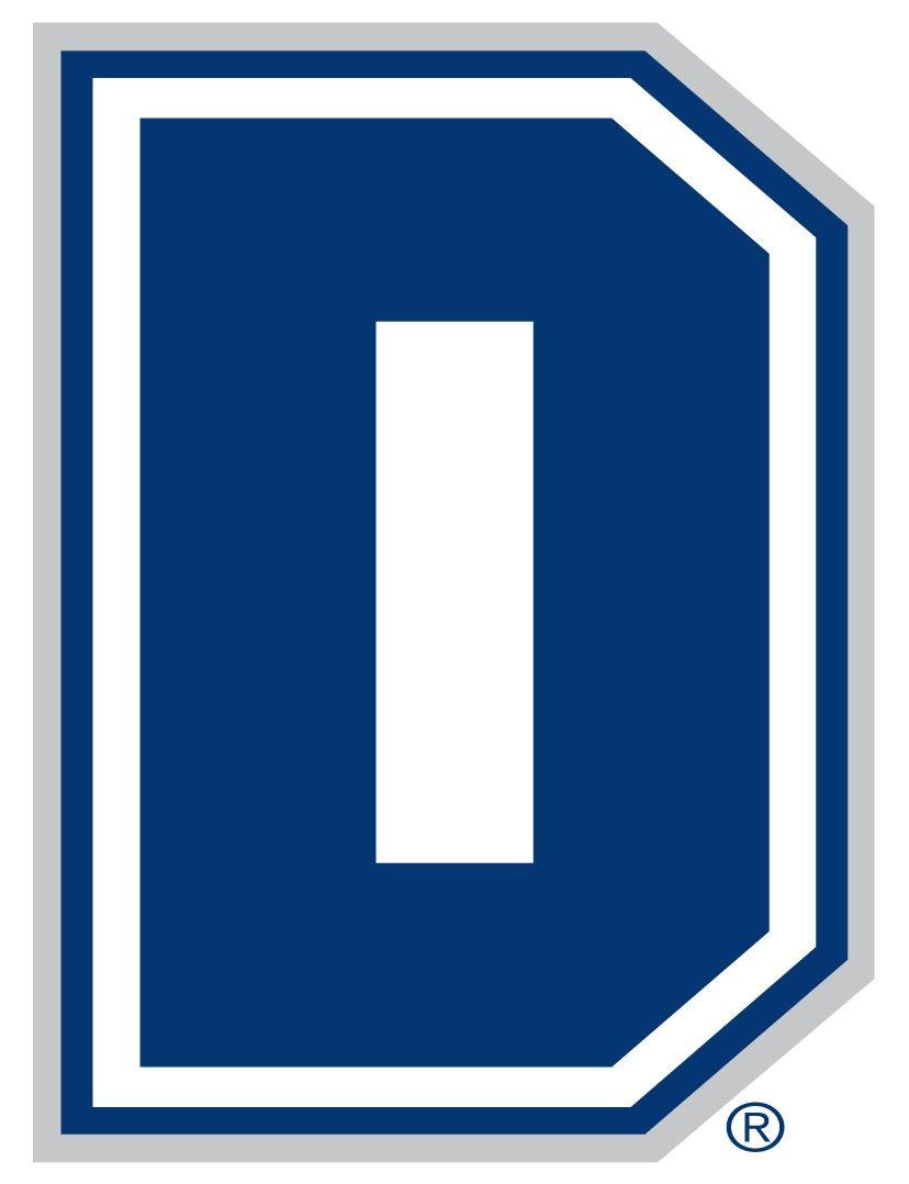 Rectangel in Blue Blue Hawk Logo - Dickinson State Blue Hawks