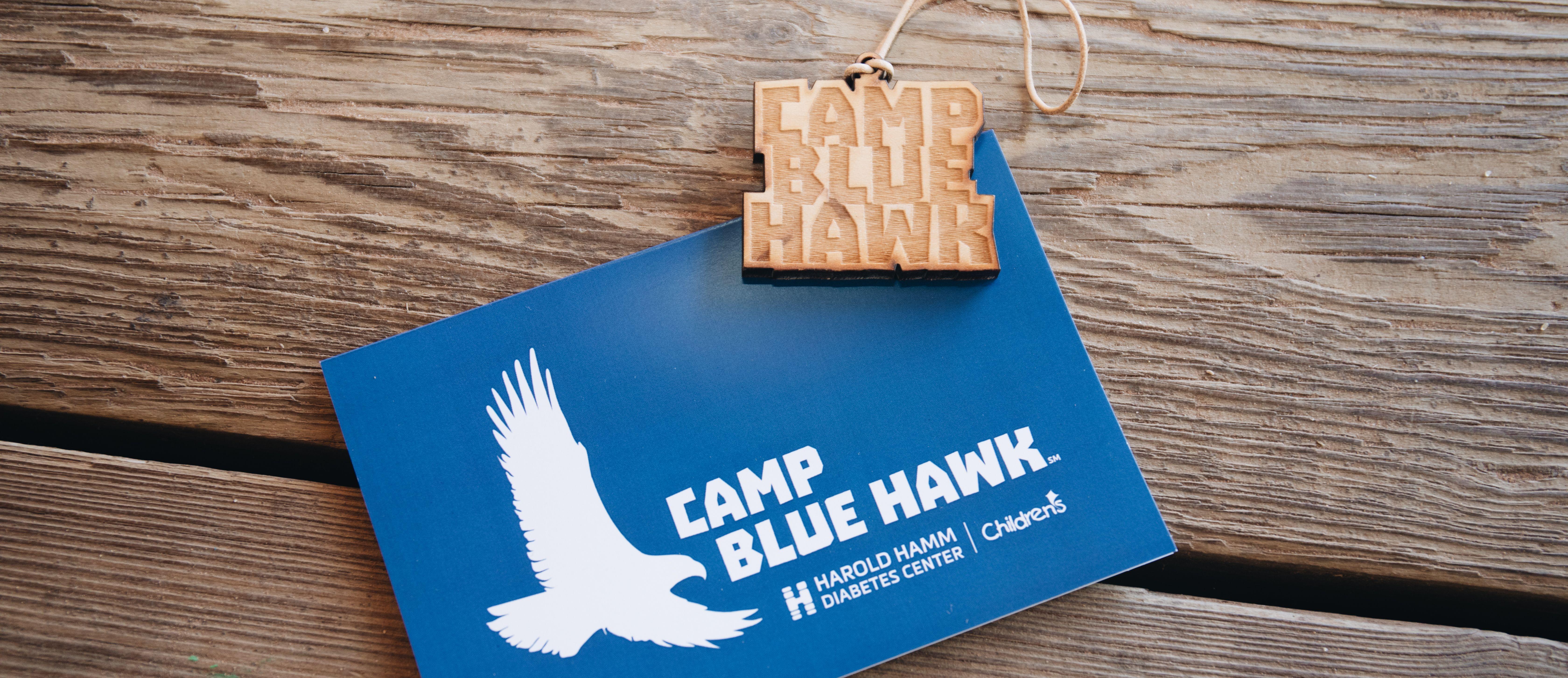 Rectangel in Blue Blue Hawk Logo - About Camp Blue Hawk