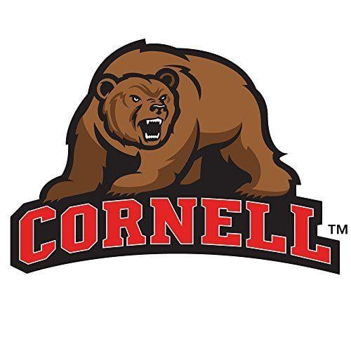 Cornell Big Red Bear Logo - Cornell Big Red Mascots | IvyLeagueCompare.com