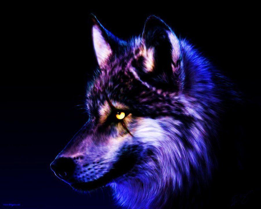 Cool Purple Wolf Logo - cool purple wolves | Unusual Fixed Wolf Wallpaper By Wolfkermek Dcuz ...