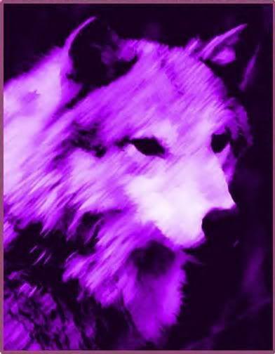 Purple Wolf Logo