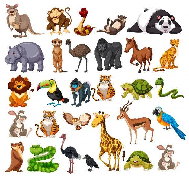 Savage Animals Logo - Animals vectors, +95,000 free files in .AI, .EPS format