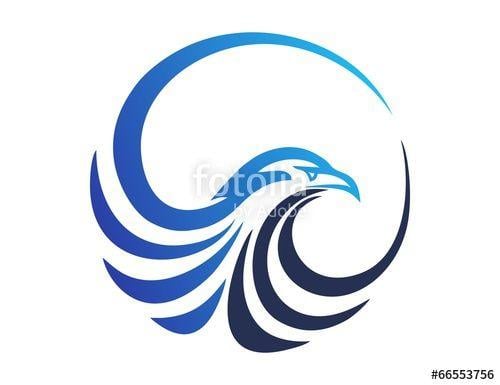 Hawk Vector Logo - hawk logo, eagle symbol, bird icon media concept modern business