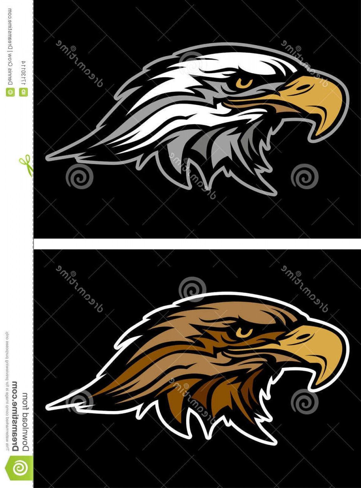Hawk Vector Logo - Stock Image Eagle Hawk Head Mascot Vector Logo Image