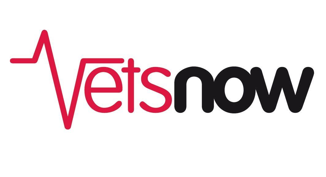 Now Logo - Our Brand Values And Guidelines | Vets Now