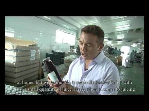 Ask Foods Logo - 03. Driving jobs, growth and exports in Kosovo - ASK FOODS - YouTube