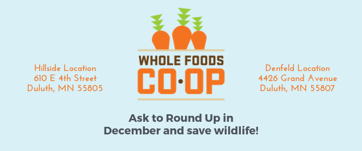 Ask Foods Logo - Whole Foods Co Op Program To Benefit Wildwoods!