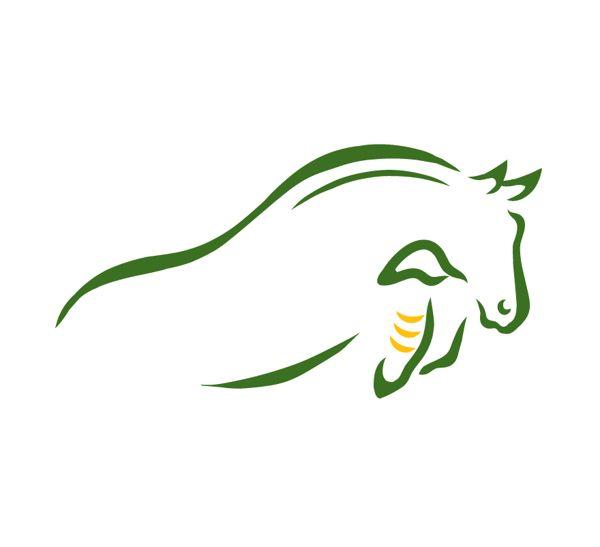 Jumping Horse Logo - Logo by Caroline Radtke design for a Dallas, Texas area