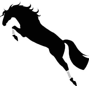 Jumping Horse Logo - Green Valley Tack Shop Pine Island NY 10969 | Horse Tack and Supplies</