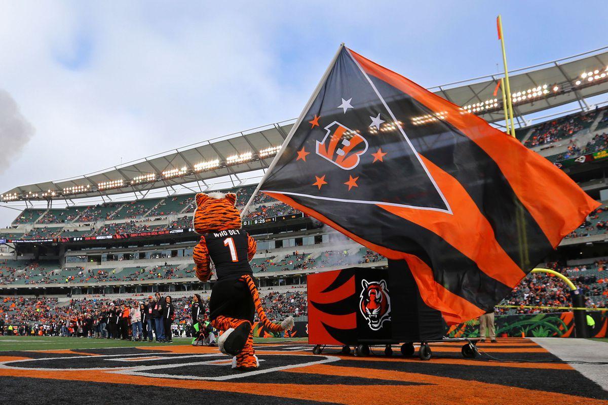 Bengals New Logo - NFL fans don't like the Bengals' logo. Here's how it can be improved ...