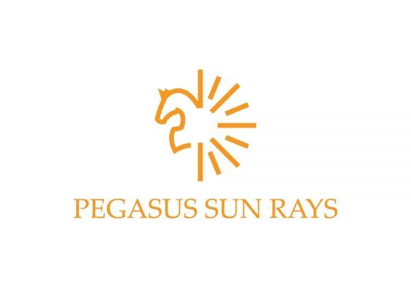 Sun Rays Logo - Pegasus Sun Rays • Premium Logo Design