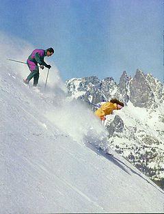 Snow Skier Logo - Mammoth Mountain Ski Area