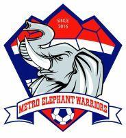 Elephant Football Logo - Western Football Club