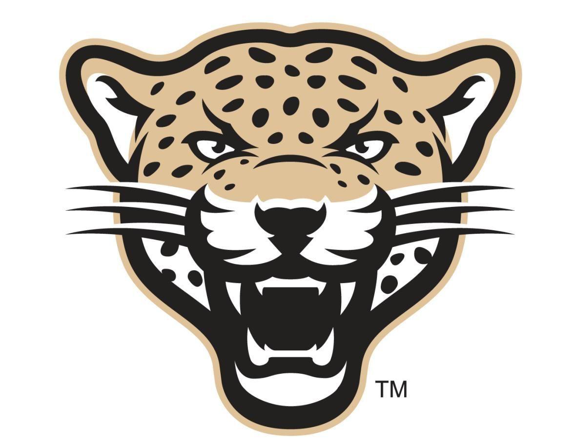 Leopards Logo - leopard logo - Google Search | Mascots | Logos, Sports logo, Logos ...
